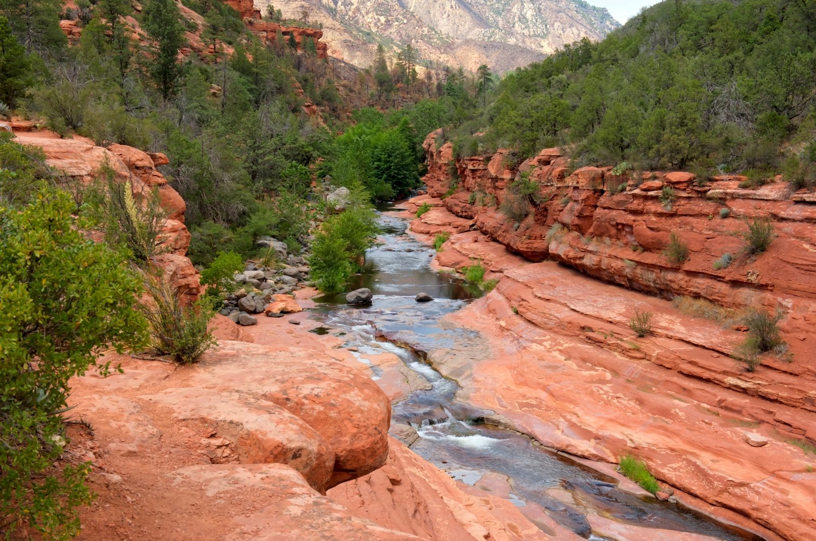 Slide Rock State Park natural water slide in Oak Creek Canyon