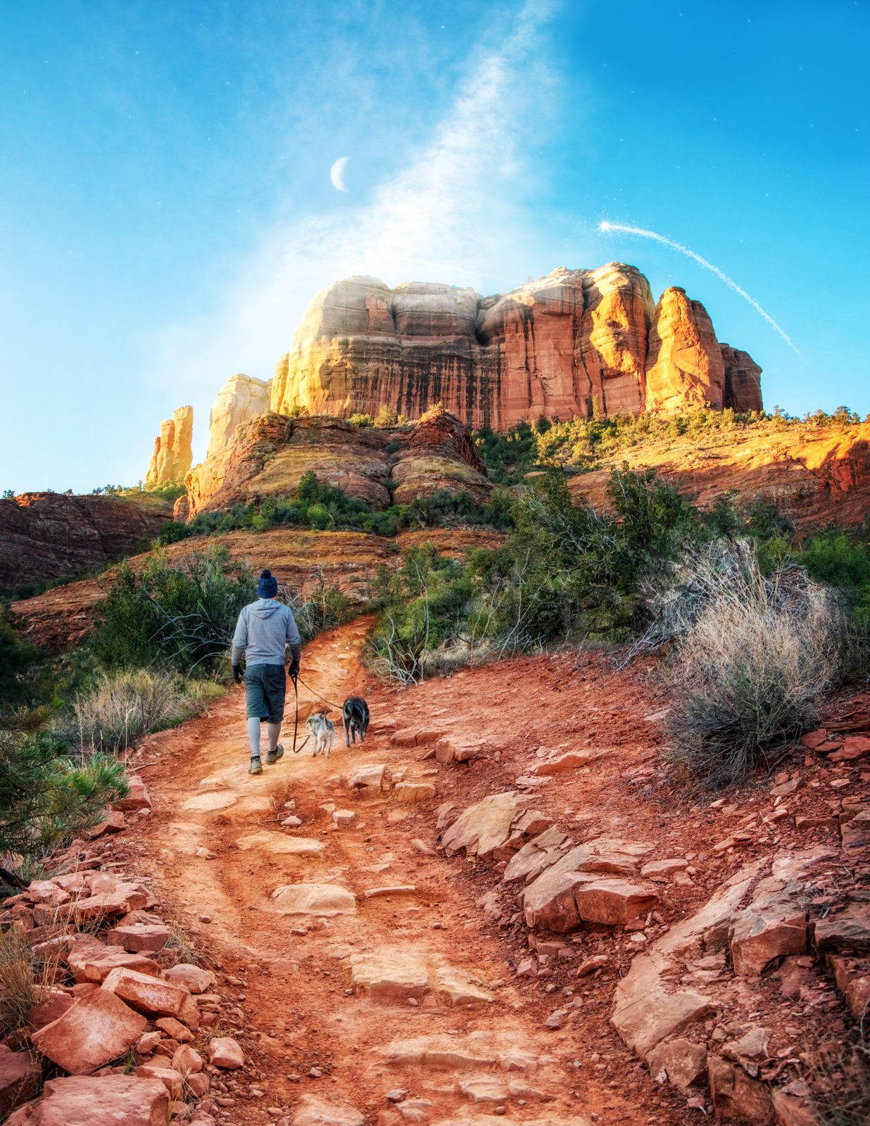 Hiker and dog on the Cathedral Rock trail glowing in afternoon light